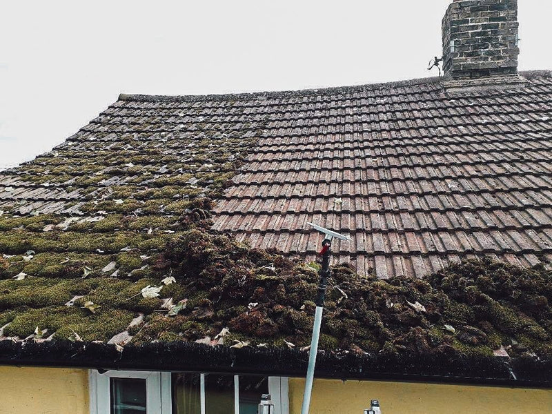 SkyScraper Roof Scraper Head & Blades Moss Removal Full Kit