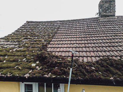 SkyScraper Roof Scraper Head & Blades Moss Removal Full Kit