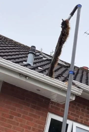 skyVac® Elite Pole (1.5m)